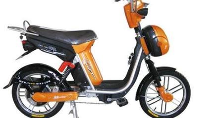电动自行车品牌选购指南 主流牌子与挑选要点
